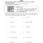 17 Polynomial Worksheets Printable Worksheeto