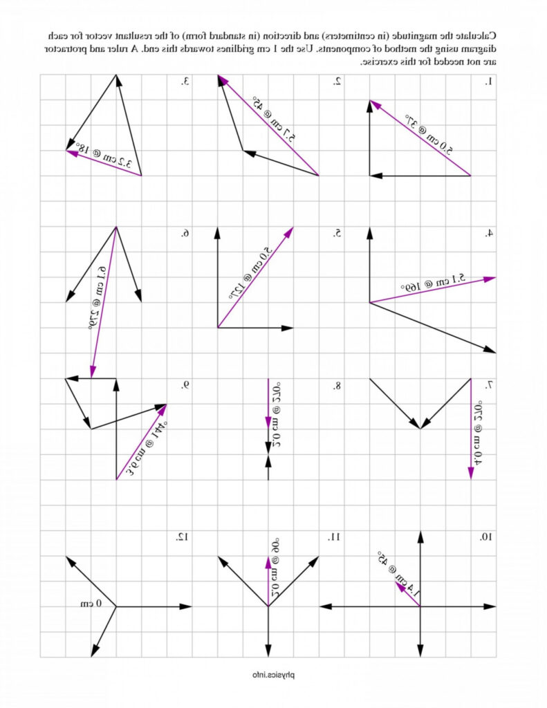 Physics Vector Worksheet