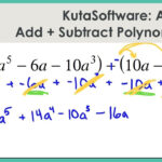 Worksheet Adding And Subtracting Polynomials Worksheet Grass Fedjp